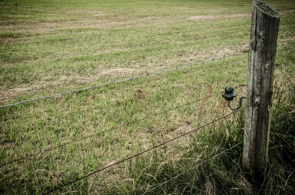 The area enclosed by barbed wire — Stock Photo, Image