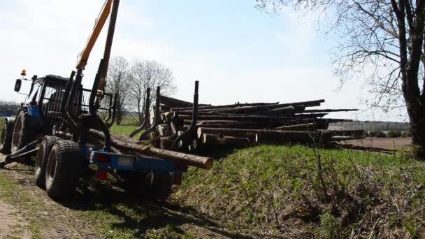 Spezial-Lastkraftwagen mit Kran entladen Stämme vom LKW. Wald fiel. — Stockvideo