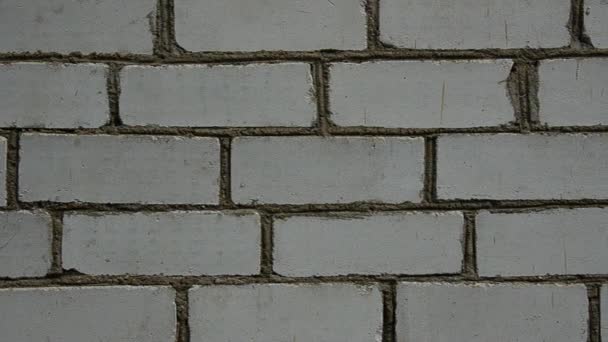 旧砖墙 — 图库视频影像