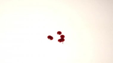 Yerdeki kan gölü. kan damlar