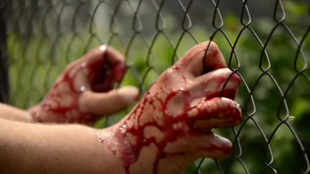 Mannen i blodet. bryter lös. våld mot person. blodig man tar fasta på att ett staket — Stockvideo