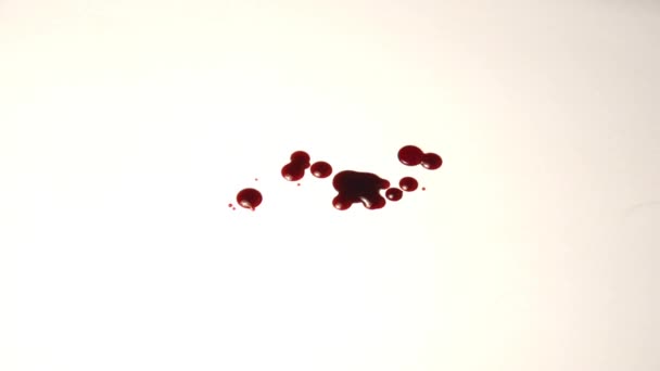 Una pozza di sangue sul pavimento. gocce di sangue — Video Stock