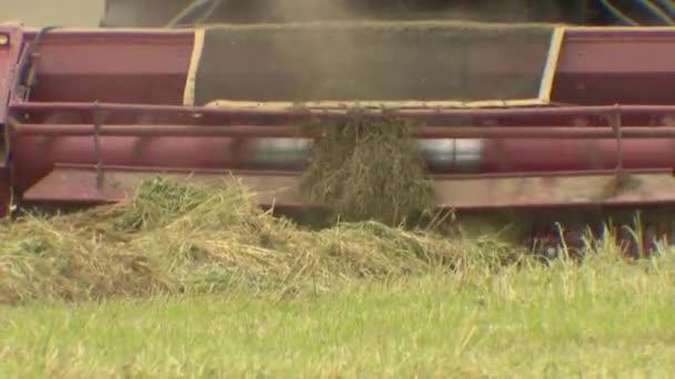 Skördar gräs för nötkreatur. Jordbruk, foderskörd. — Stockvideo