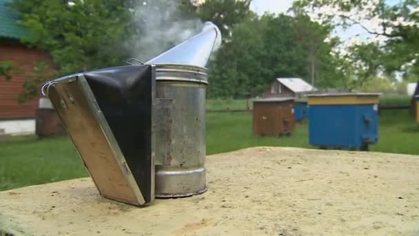 Fumée pour effrayer les abeilles lors de la collecte du miel. — Video