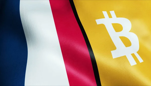 3 boyutlu Bitcoin ve Fransa bayrağı sallama