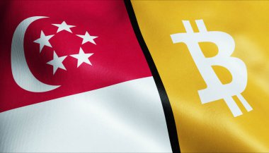 3 boyutlu Bitcoin ve Singapur bayrağı sallama