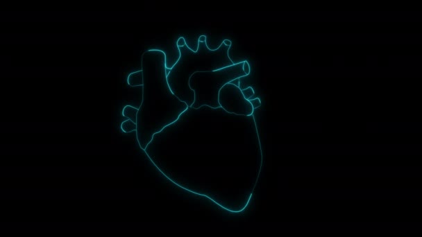 Animated Human Heart Anatomy Black Background — Stock Video