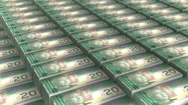 Animação Dólares Canadenses Notas Dinheiro Stack Seamless Loop — Vídeo de Stock