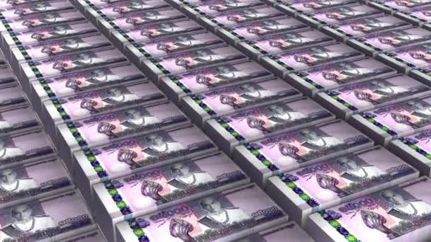 Animación 15000 Billetes Camboya Riels Money Stack Seamless Loop — Vídeos de Stock