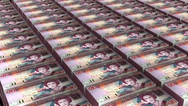 Animación Dominica Dólares Billetes Dinero Pila Sobre Fondo Blanco — Vídeos de Stock