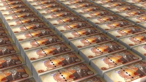 Tonga Paanga Banknotes Money Stack Background Animation — Vídeos de Stock