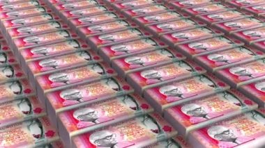 Mauritius 2000 Rupees Banknotes Money Stack Background Animation