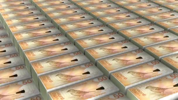 Netherlands Antilles Gulden Banknotes Money Stack Background Animation — ストック動画