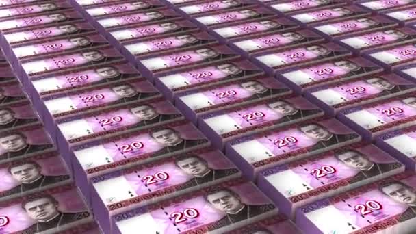 Lithuania Litu Banknotes Money Stack Background Animation — Video Stock