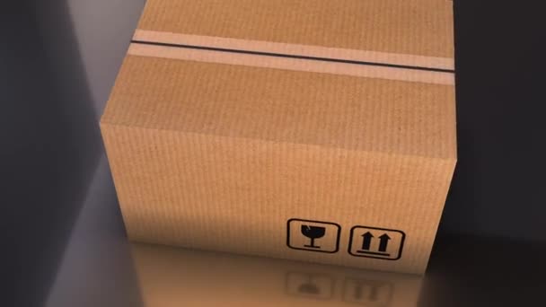 Product Cardboard Box Made Usa — Stock Video