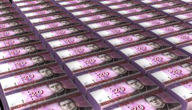 3D Görüntü Litvanya 20 Litu para banknotu