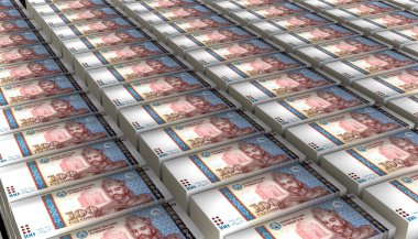 3D Görüntü Tacikistan 100 Somoni para banknotu