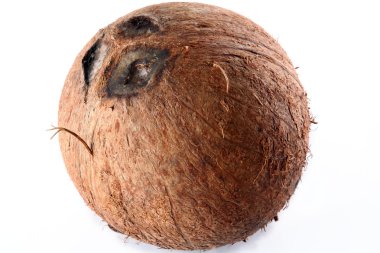 Hindistan cevizi