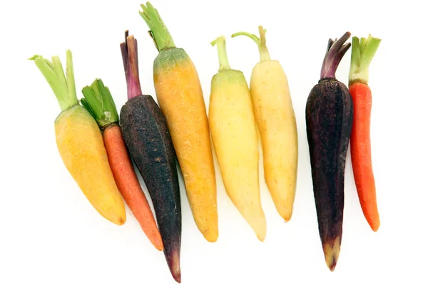 Zanahorias arco iris —  Fotos de Stock