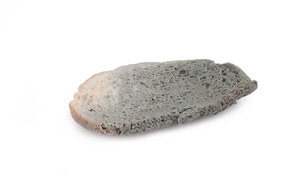 Moldy Bread — Stock Photo, Image