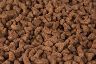 Kediler için Kuru gıda