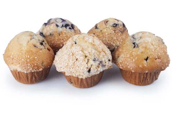 Muffins aux myrtilles — Photo