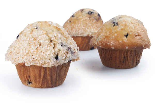 Blueberry Muffins Royalty Free Stock Photos