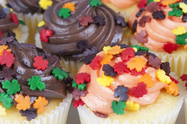 Mini Cupcakes — Stock Photo, Image