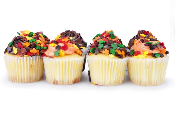 Mini Cupcakes — Stock Photo, Image