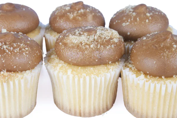 Mini Cupcakes — Stock Photo, Image