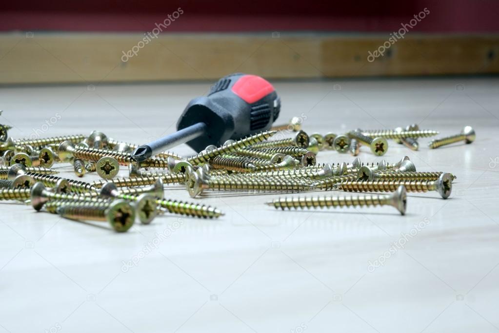 Screwdriver and various screws