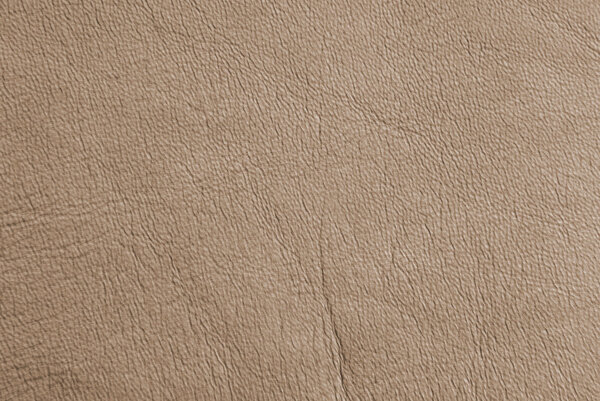 Tan leather texture