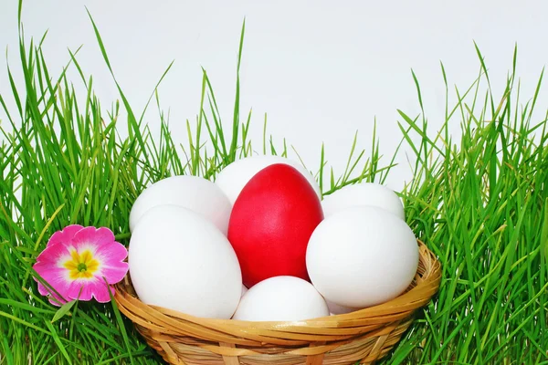 Cesta com ovos de Páscoa na grama — Fotografia de Stock