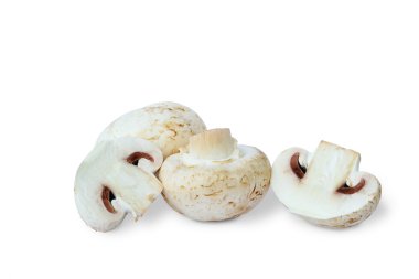 yaygın mantar - petrol beyaz