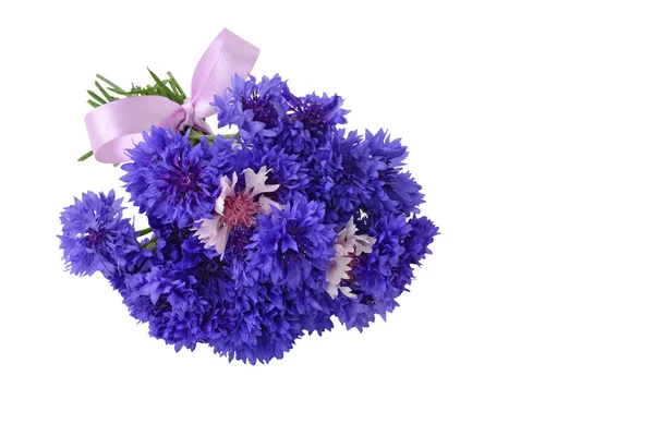 Blue cornflower bouquet — Stock Photo, Image