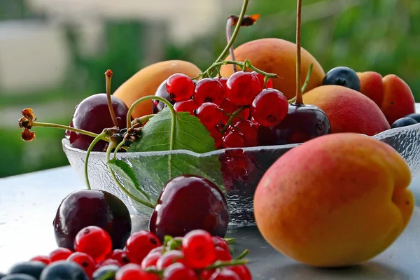 Świeże owoce letnie — Zdjęcie stockowe
