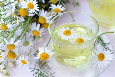 Cup of chamomile tea clipart