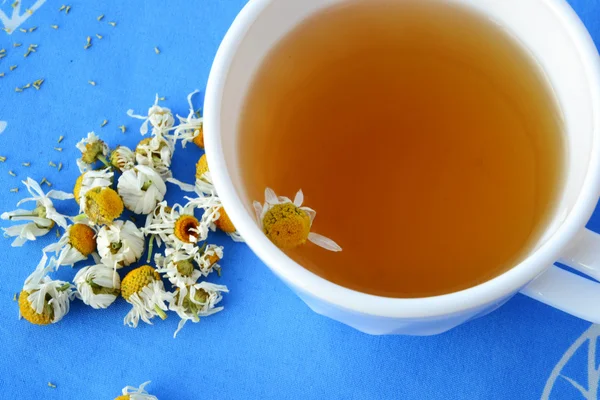 Chamonile tea and dried flowers — Stock Photo, Image