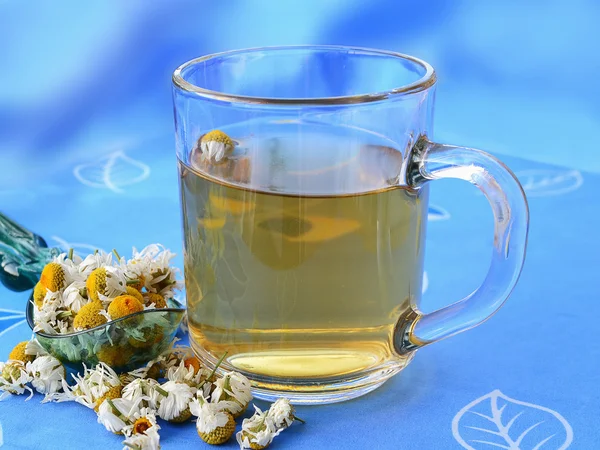Tè alla camomilla con fiori di camomilla essiccati — Foto Stock