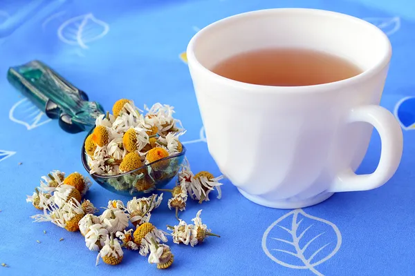 Cup of chamomile tea and dried flowers — Stock Photo, Image