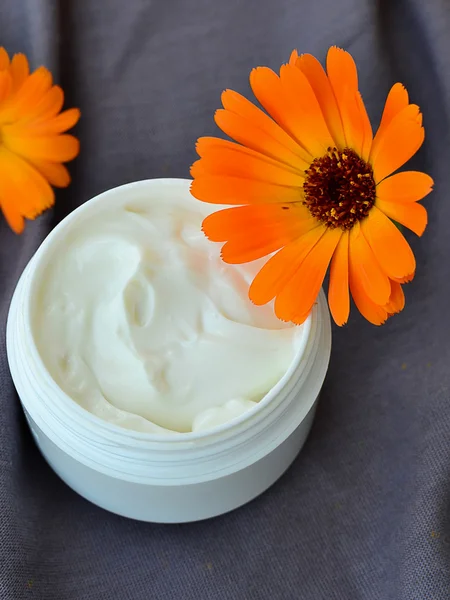 Calendula cosmetic cream and flowers — Stock Photo, Image