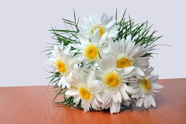 White daisy bouquet — Stock Photo, Image