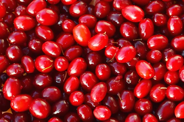 Cornelian cherries - European cornel fruits — Stock Photo, Image