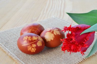 Paskalya yumurtaları yaprakları ile