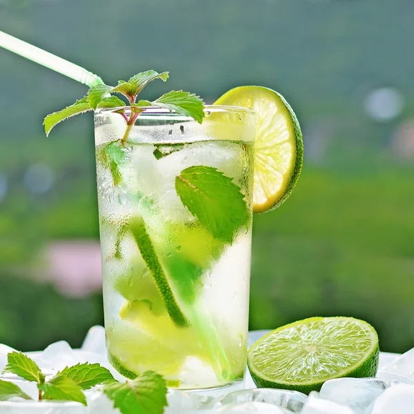 Świeże mojito — Zdjęcie stockowe