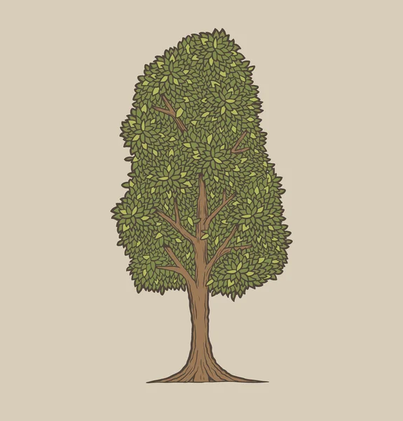 Vetor árvore verde — Vetor de Stock