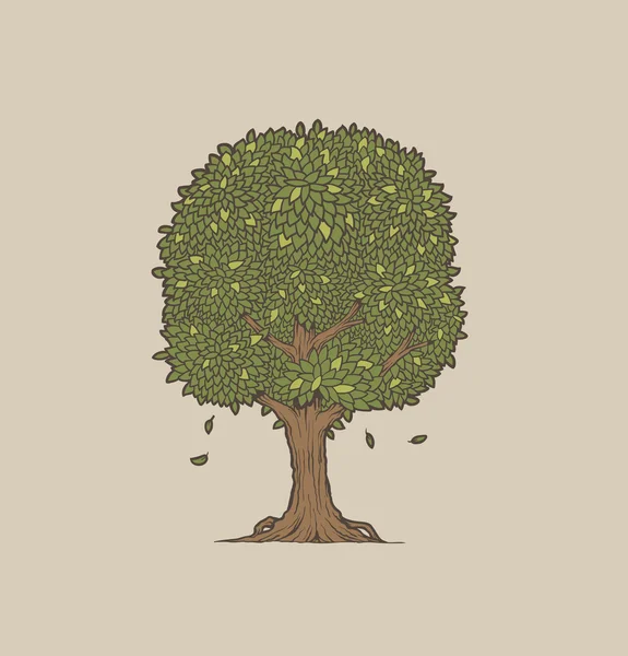 Vetor árvore verde — Vetor de Stock