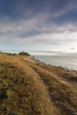 Deniz kıyısının güzel manzarası