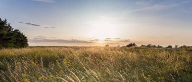 Tarlada güzel bir gün batımı