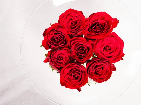 Roses Rouges Dans Vase Verre Sur Fond Blanc — Photo